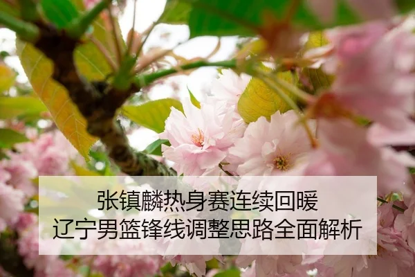 张镇麟热身赛连续回暖 辽宁男篮锋线调整思路全面解析